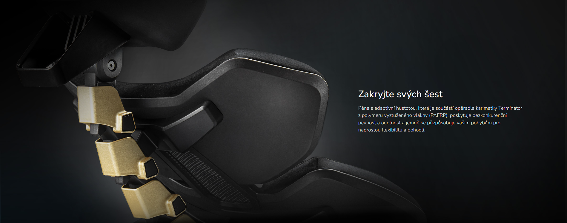 Snímek obrazovky 2026-03-11 153408